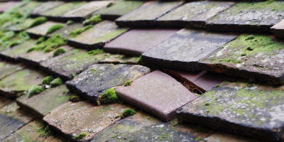 Llanwern roof repair costs